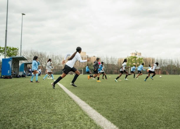 南京头排苏 南京头排苏